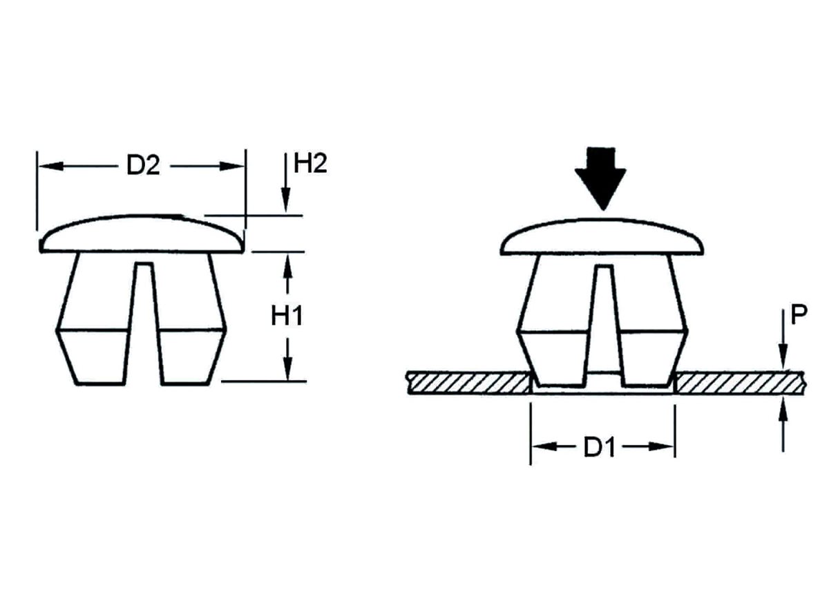 Hole Plug Buttons | 8mm Hole Diameter dimension guide